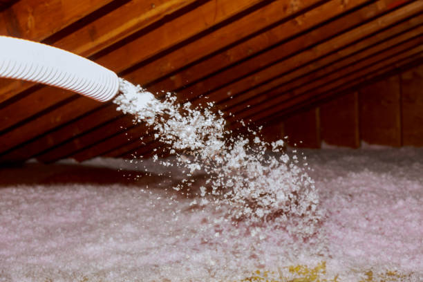Best Geographic-Specific Insulation Services in Quantico Base, VA